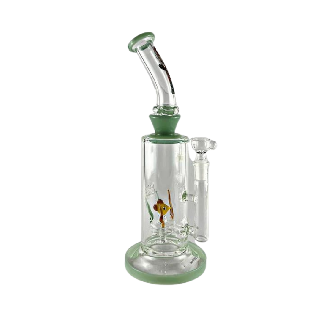 MR GREEN 1103 | 10 in. | 1 Perc